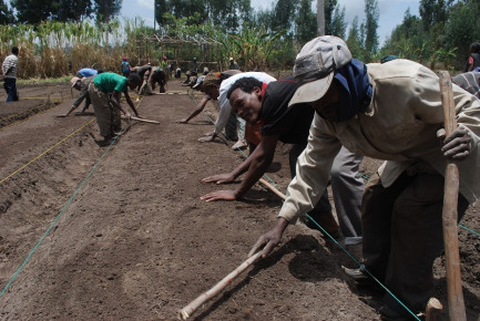 People in Need Supporting Development of 12 Farming Training Centres in Ethiopia; Thus Help Thousands of Farmers