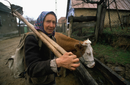 Hnutí DUHA Jeseníky to take over our projects in Romanian Banat from 2024