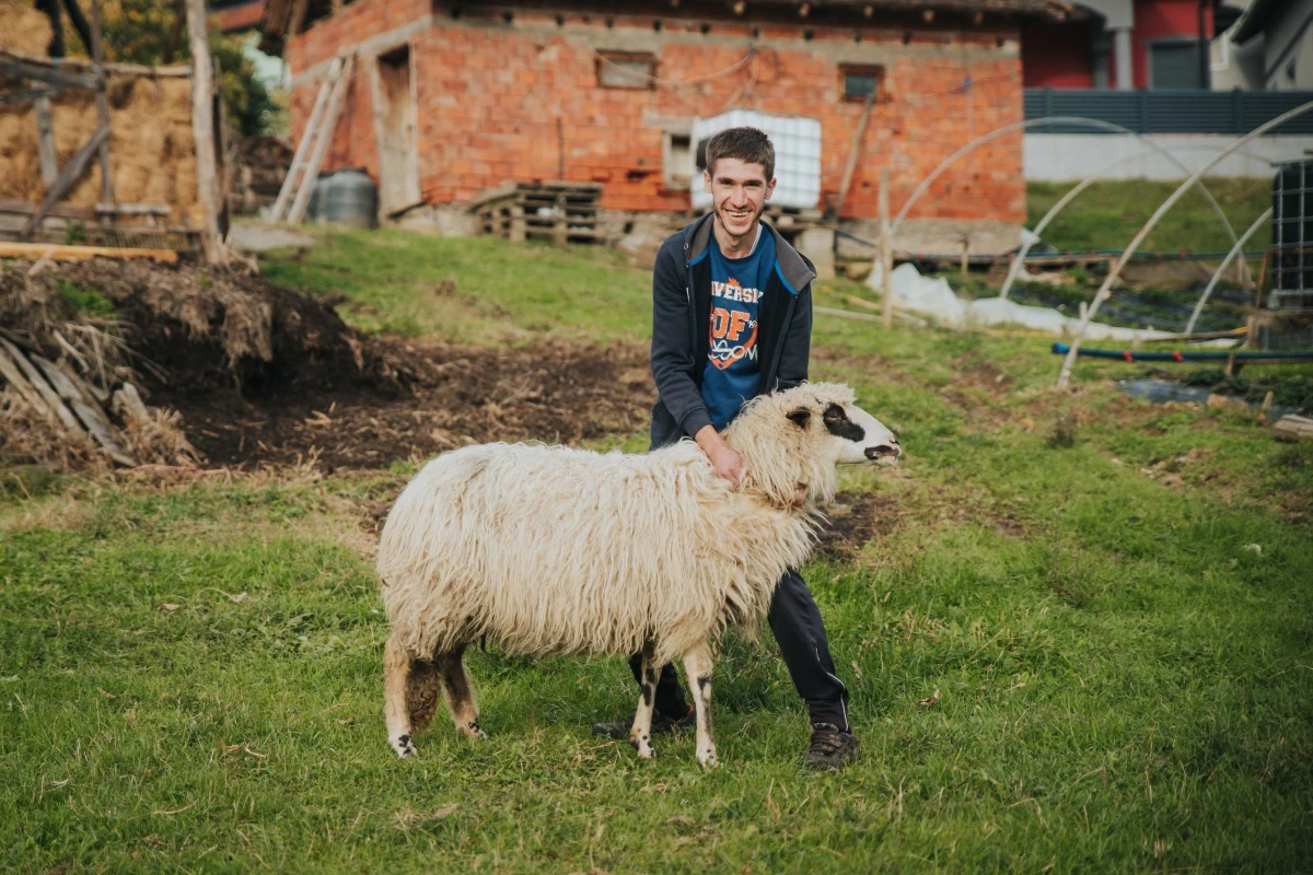 Mirza’s Flock: A Heartwarming Tale of Passion and Perseverance