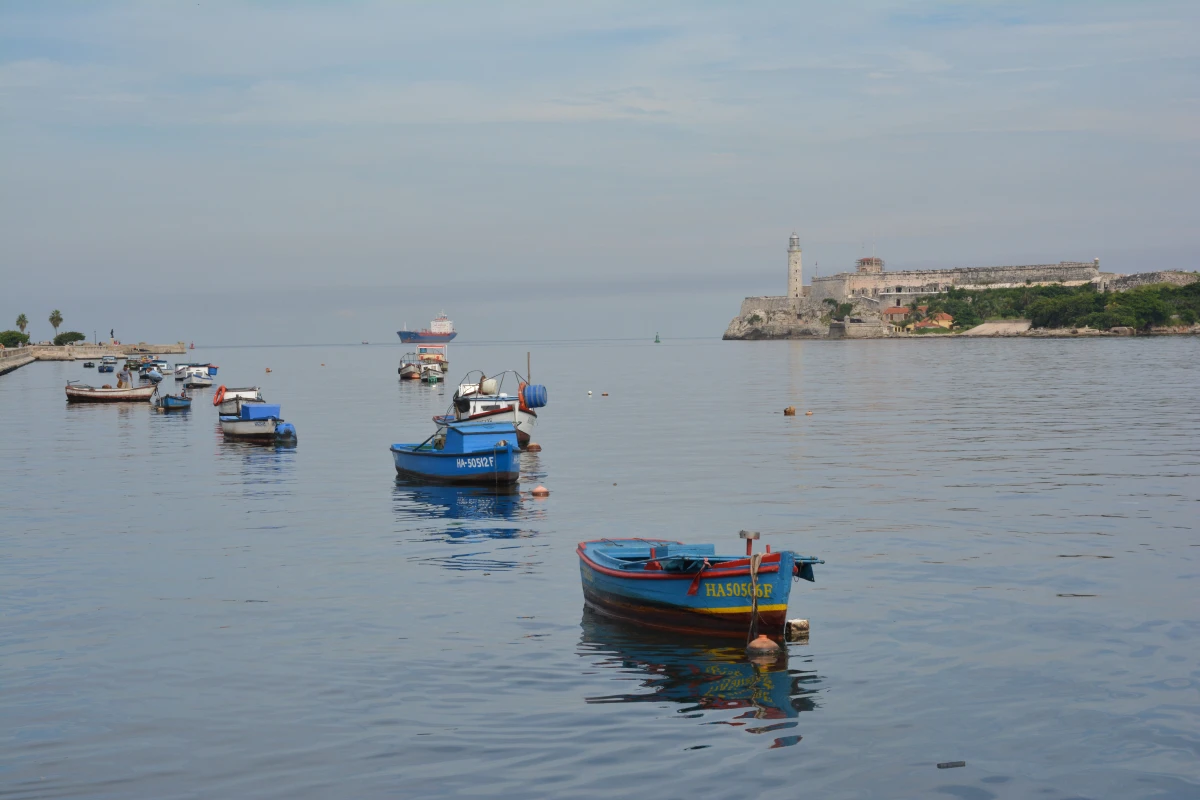 An Island Without Fish