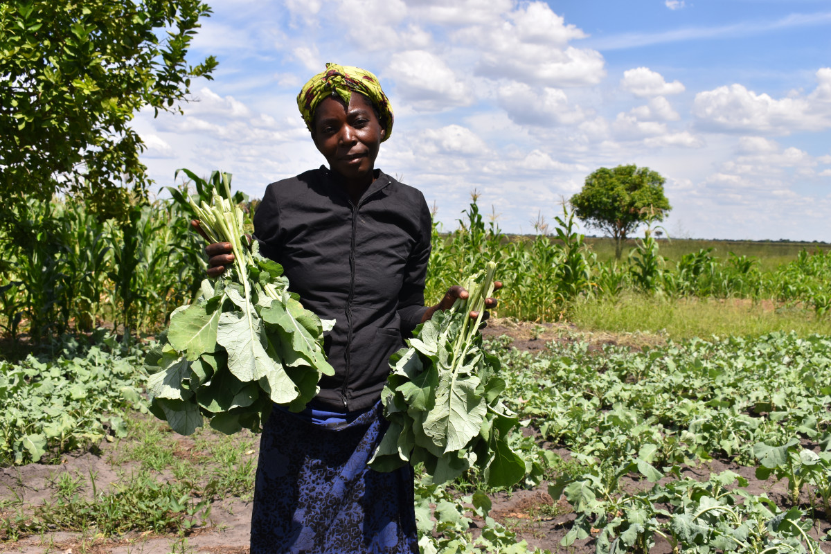 Empowering Conservation and Prosperity Through Community Action in the Barotse Floodplains