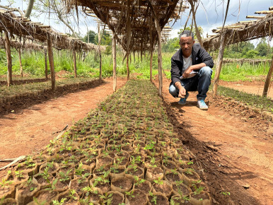 Earth Day: How Mesfin’s work help's to mitigate the impacts of climate change in Ethiopia