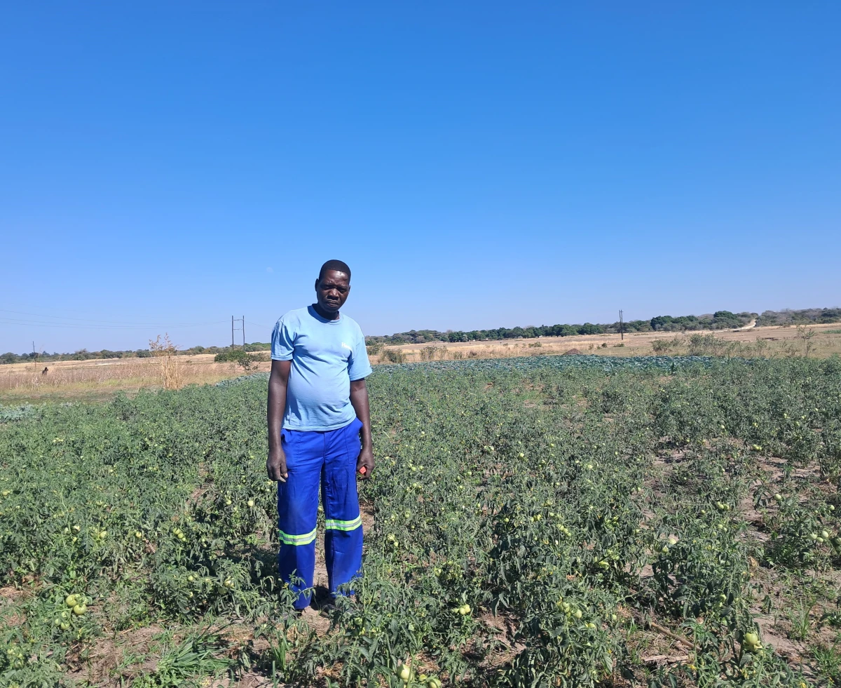 Empowering Smallholder Farmers in Western Zambia: Bio-slurry's Role in Boosting Drought Resilience and Food Security