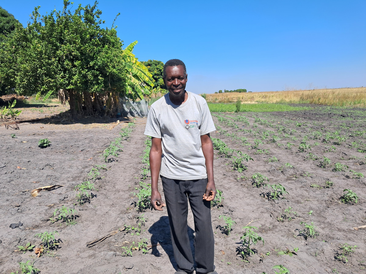 Desertification and Drought: addressing the causes of a silent crisis