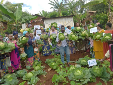Seeds of Change: Improving agricultural practices for bountiful harvests