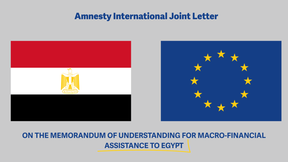 JOINT NGO INPUT AHEAD OF NEGOTIATIONS ON THE MEMORANDUM OF UNDERSTANDING FOR MACRO-FINANCIAL ASSISTANCE TO EGYPT