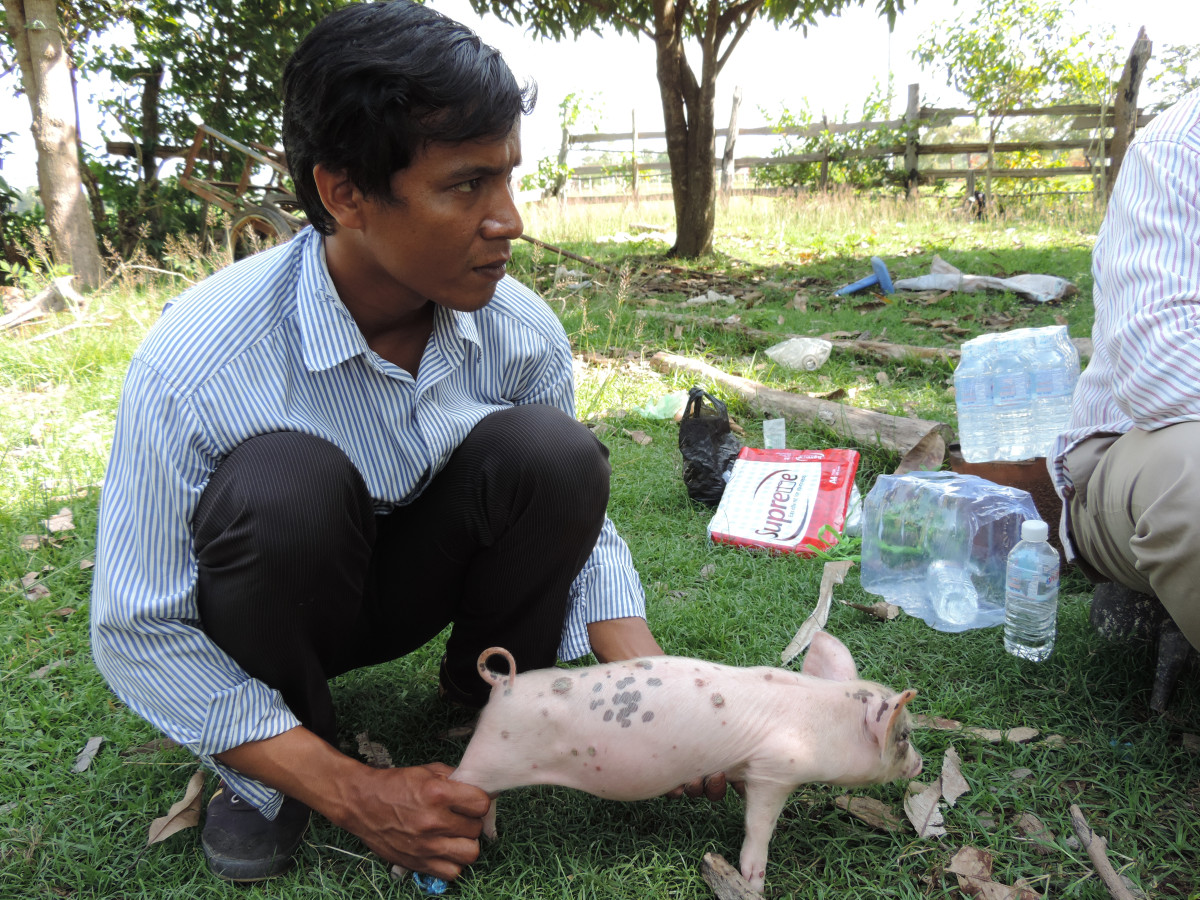 “I improved livestock production in the village and I can train farmers,” says Leuk, a Cambodian vet