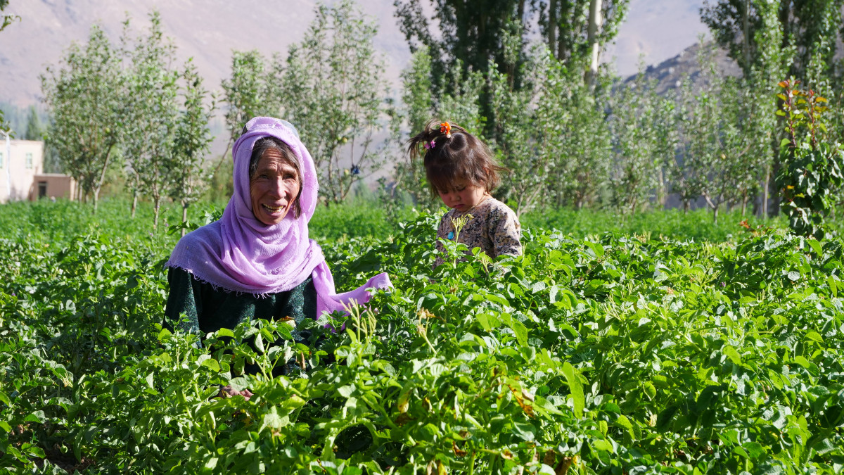 ‘We Do Not Give Up’. How Gardens, Wells, and Seeds Are Changing Lives of Afghan Women