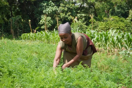 Cultivating Change through Earthworms in Ethiopia