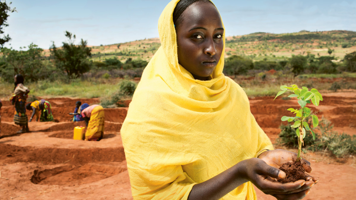 Panos Pictures, Ethiopia, 2012