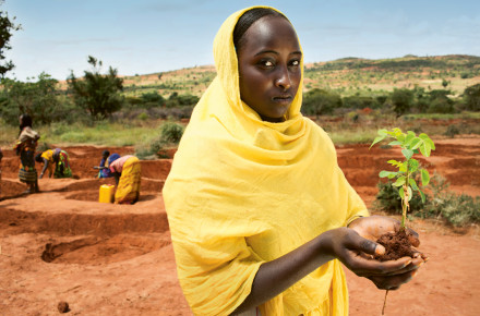 Panos Pictures, Ethiopia, 2012