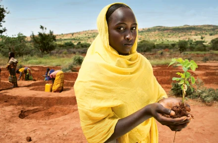 Panos Pictures, Ethiopia, 2012