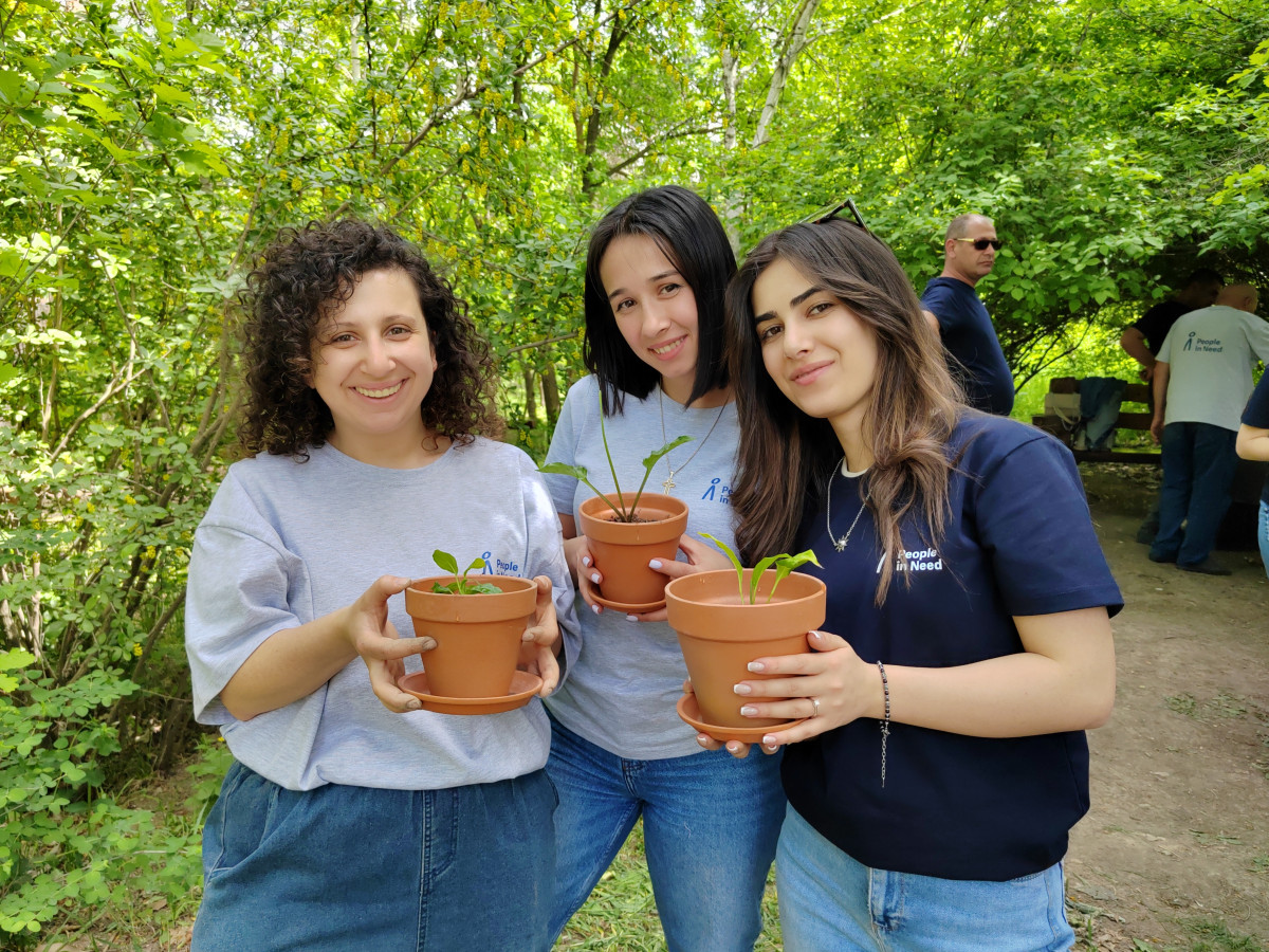 Greening Aid in Practice: Our Results and Lessons