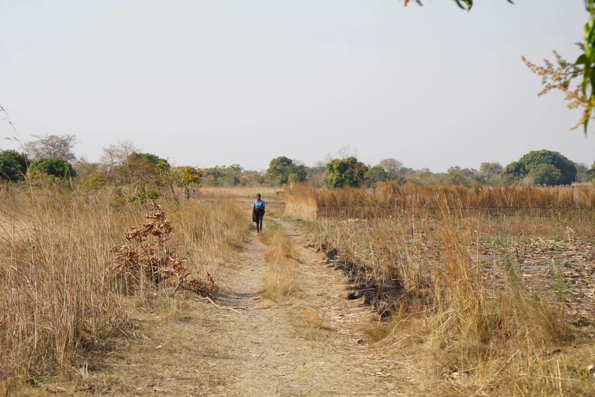 From Policy to People: Zambia’s Climate Commitments in Action