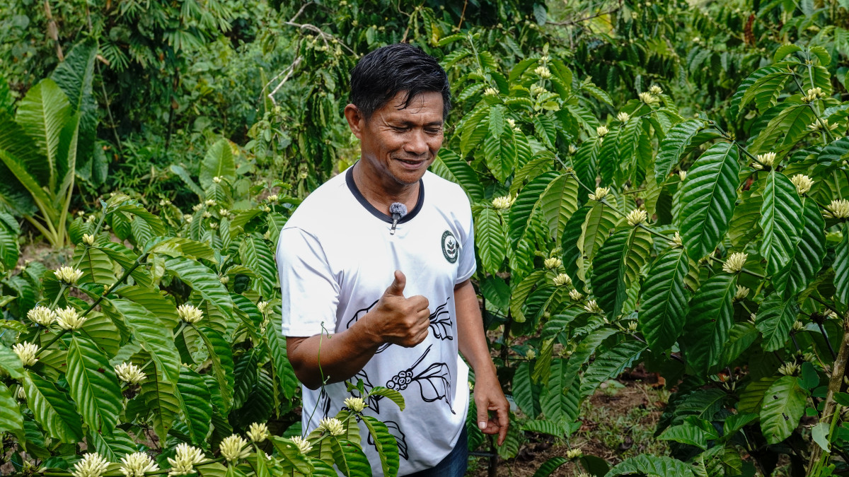 Community Champions reviving coffee farming in Basilan and Sulu