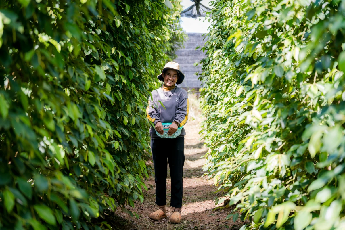A Cambodian cashew farmer shows us part of her crop