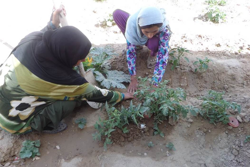 Afghan Kitchen Garden helps Latifa Feed Her Six Children
