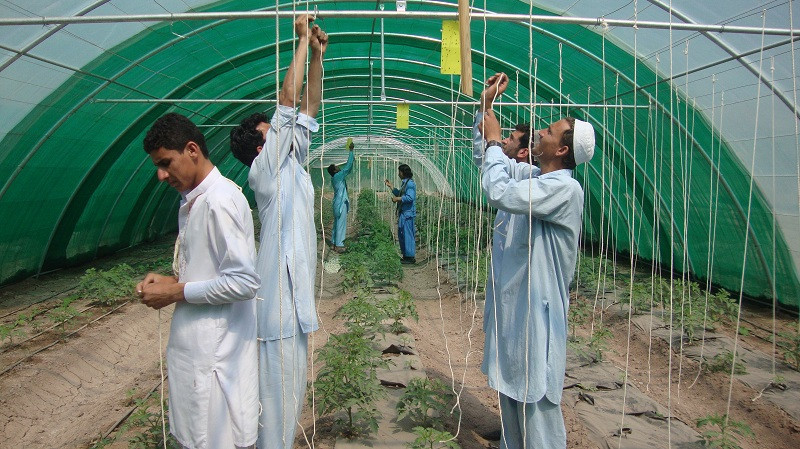 Afghan Vet Helped the School in Samangan to Better Agricultural Production