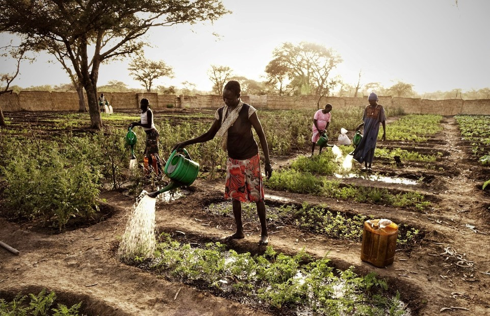 Multi-Sectoral Interventions Are Key To Prevent Undernutrition in South Sudan