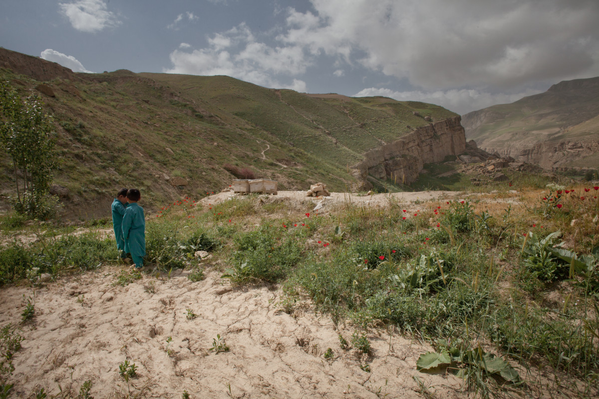 House Gardening Helps Afghan Women to Overcome Urban Poverty