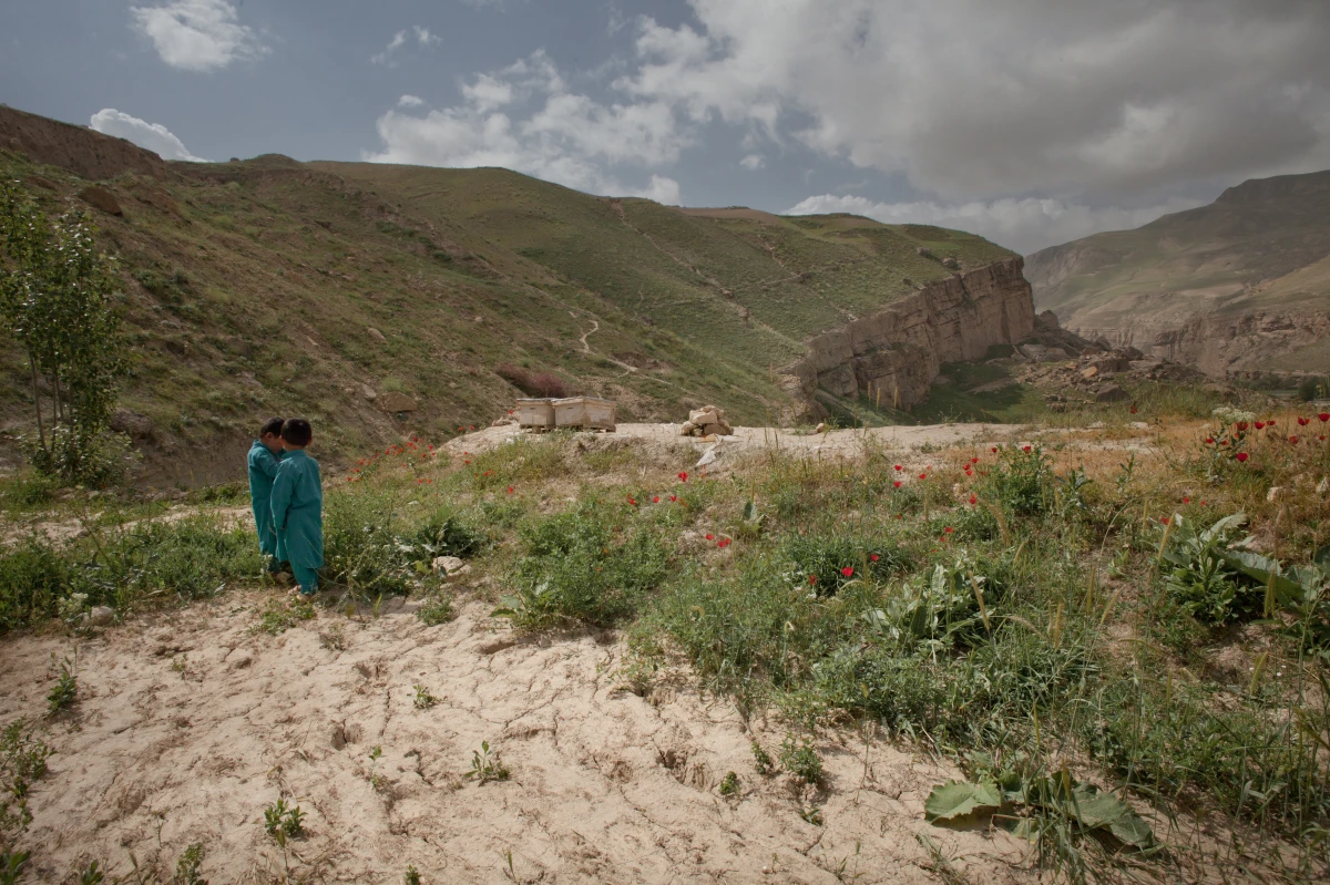 House Gardening Helps Afghan Women to Overcome Urban Poverty