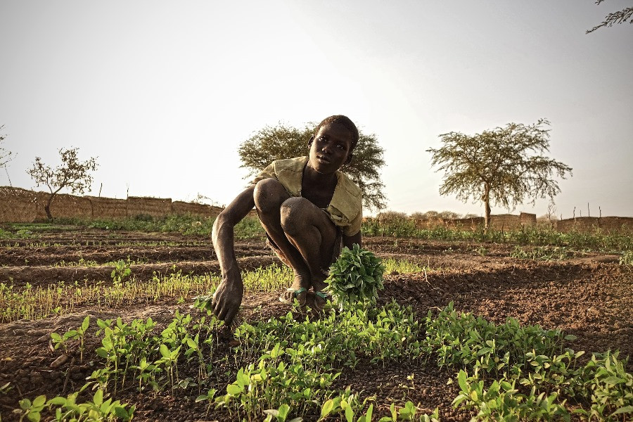 Why people in South Sudan face famine, when the land is fertile and abundant harvest is possible?