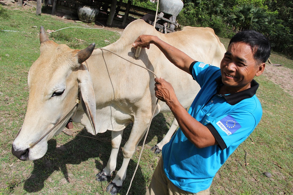 Of Livestock, Sustainability, and Other Living Things