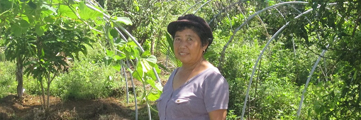 Typhoon Haiyan took away her home and livelihood. Now she's helping her neighbours with farming and trade