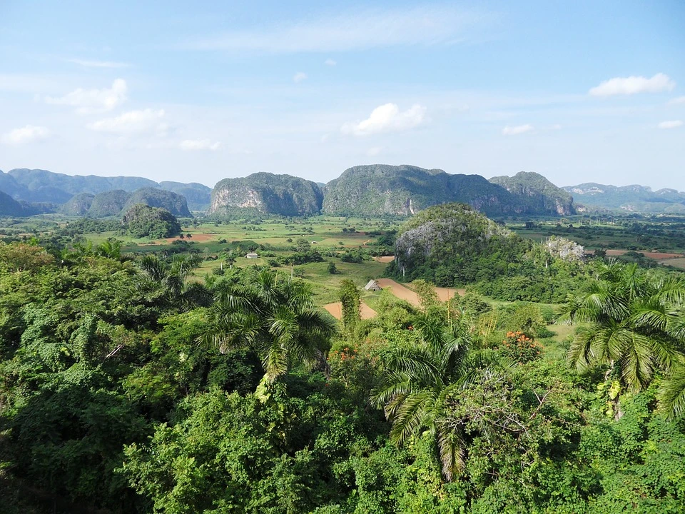 Cuba's environment under threat