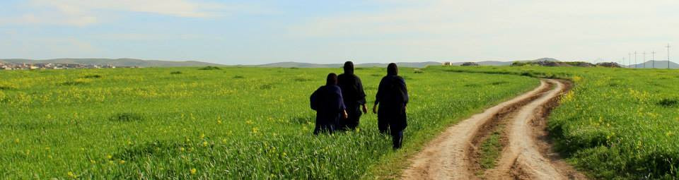 PIN provided support to 388 people living with disabilities in the north of Iraq