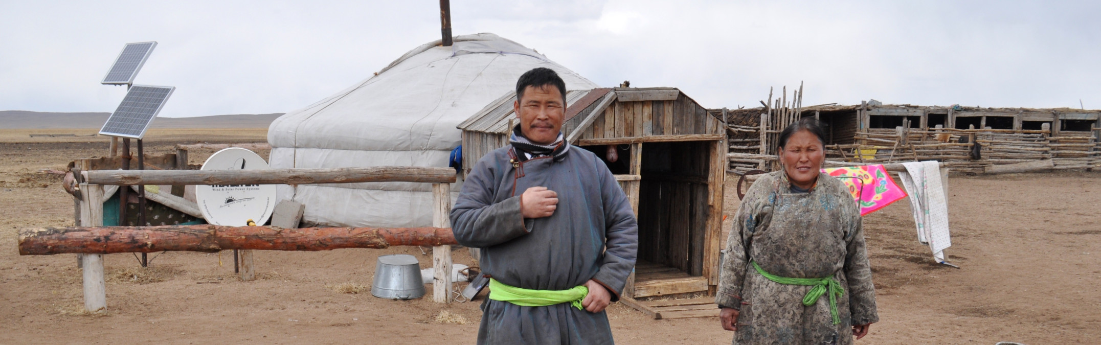The animals are weak after extreme winter and dying now. We mitigate the tragedy of dzud in Mongolia