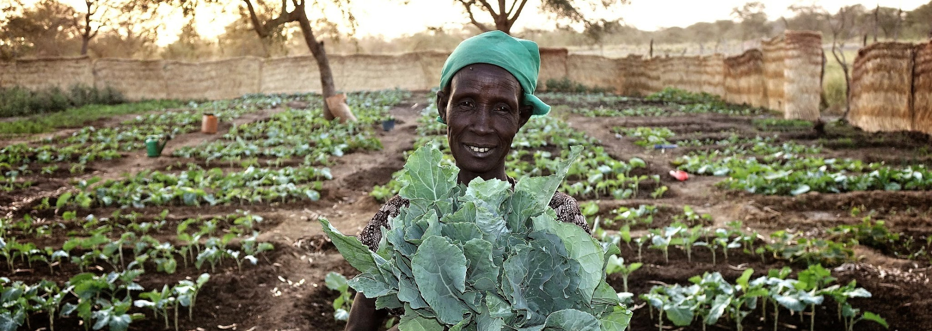 The Role of Agriculture: Producing Food to Nourish People?