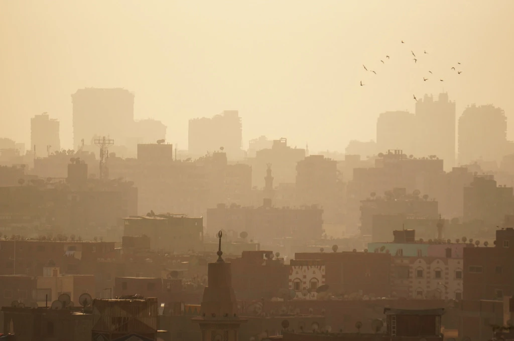 The new law paralysing the Egyptian civil society 