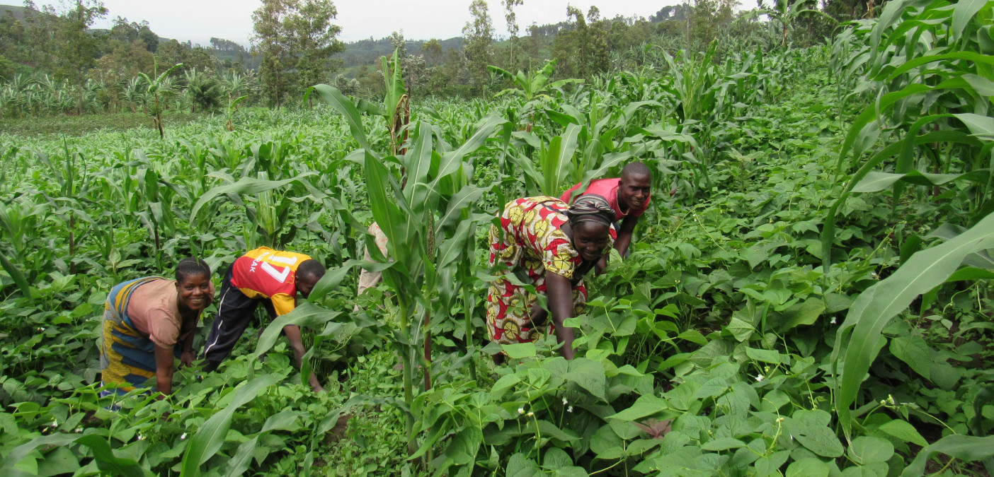 Read our Bulletin INSPIRED - Resilience