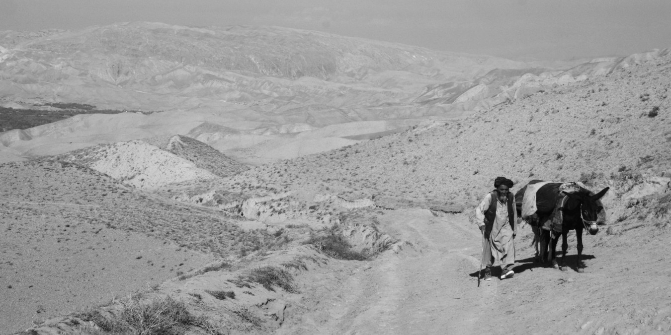 Zare 2015, we remember