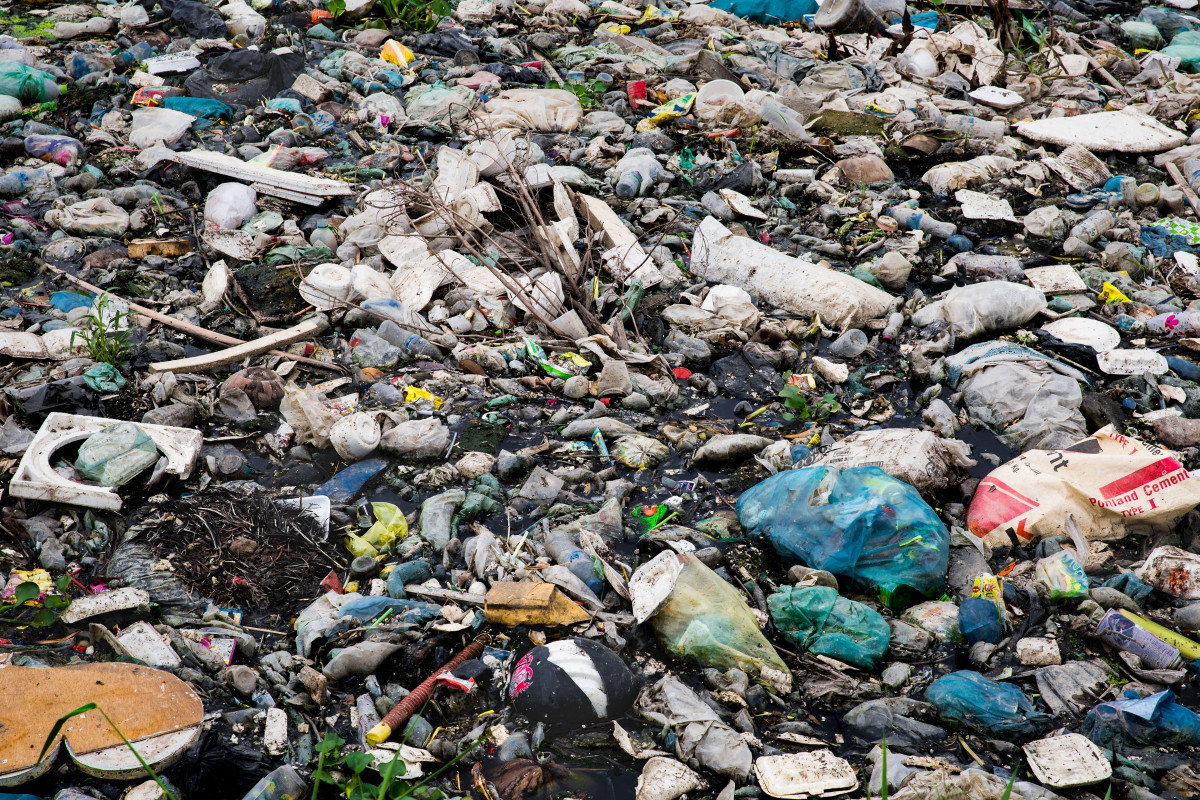 EU Aid Volunteers from Five NGOs Launch “Green Starts Here” Campaign in Cambodia