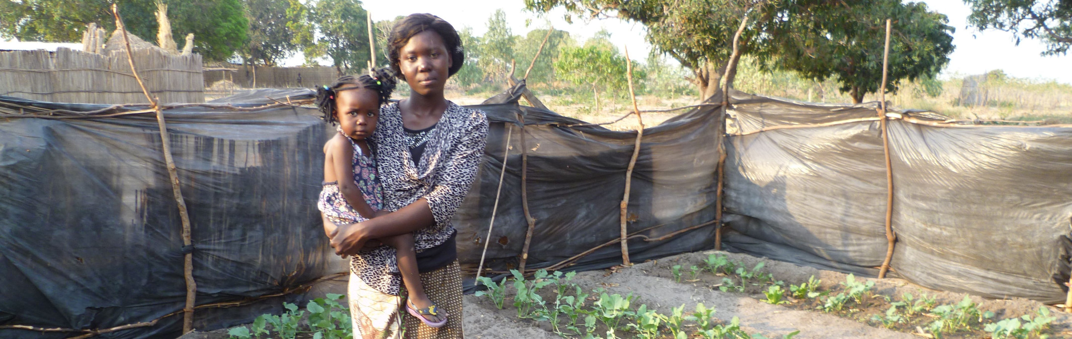 Biodigesters in Zambia: Flourishing gardens and no need to look for firewood