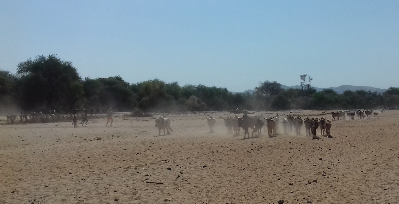 Advancing green energy in Africa