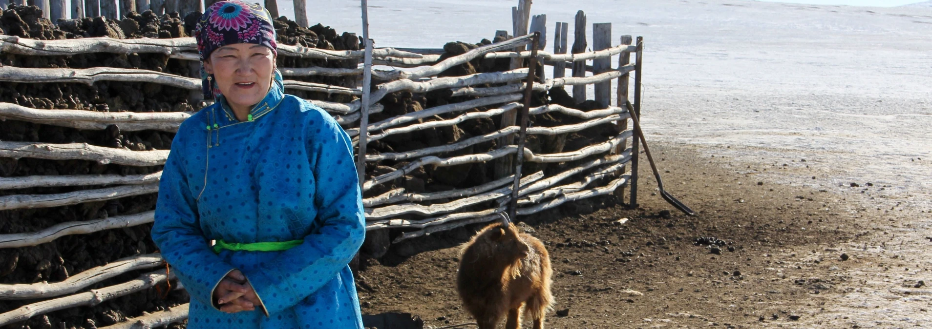 People in Need presents the Advancing Understanding of Dzud Risk report