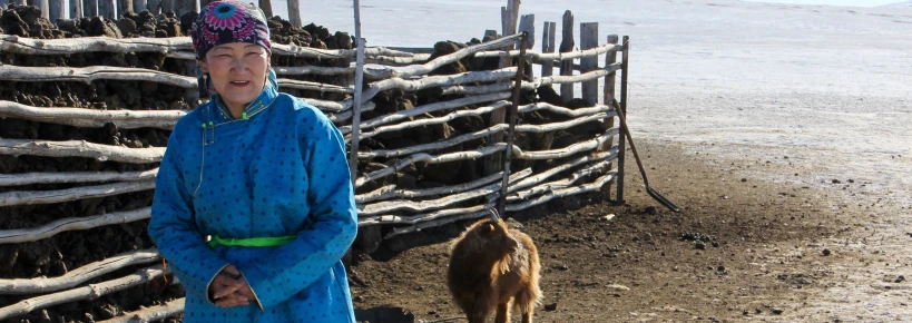 People in Need presents the Advancing Understanding of Dzud Risk report