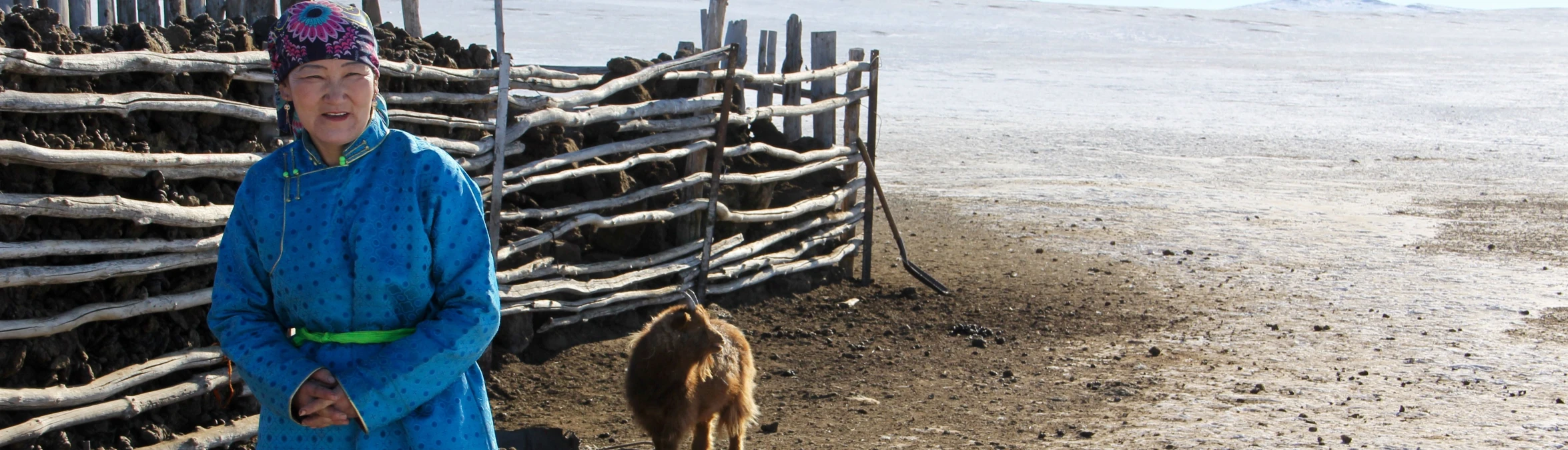 International scientists, researchers discuss dzud risk and management in Mongolia.