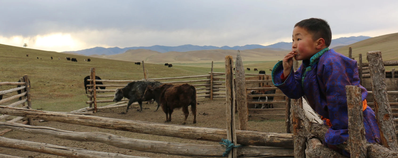 “We have better products and more knowledge,” says cooperative head. People in Need supports business in rural Mongolia