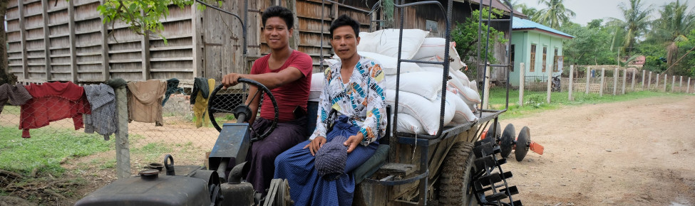 Supporting Farmers and Displaced People in Conflict-affected Rakhine State, Myanmar