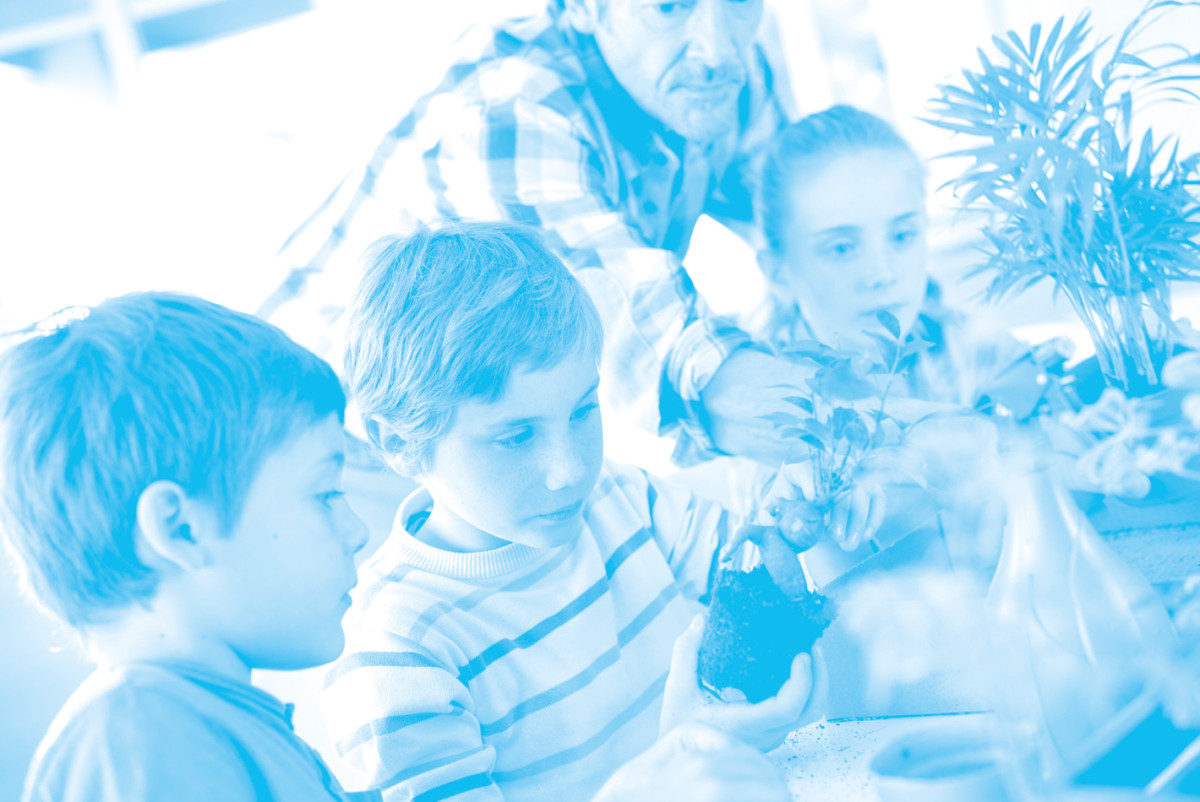 Global development education