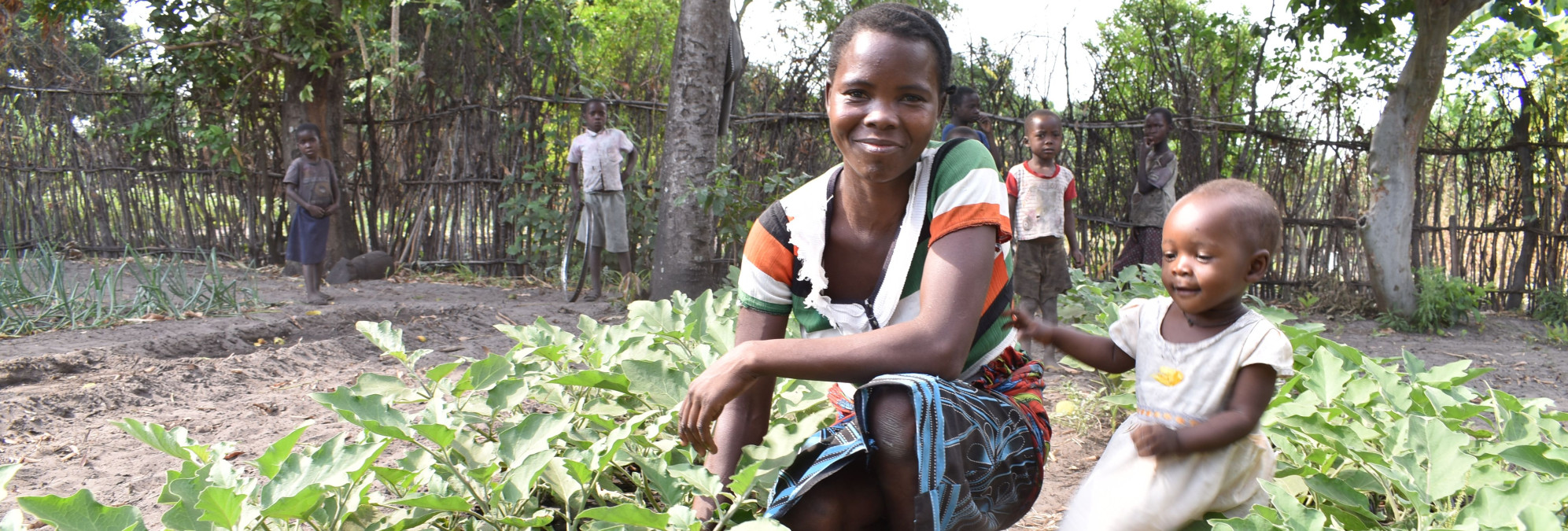 Climate protection is essential to reducing hunger, new study finds