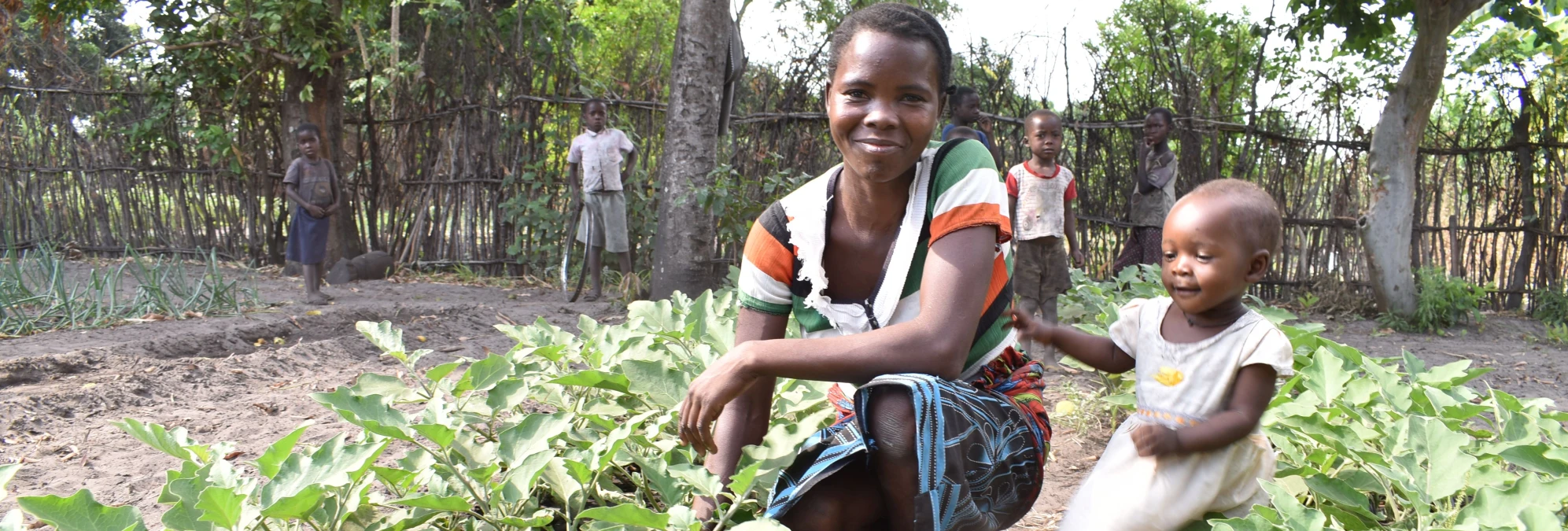Climate protection is essential to reducing hunger, new study finds