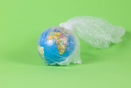 Encouraging the Switch to Reusable Shopping Bags in Armenia