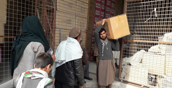 Easing the burden of displacement in Afghanistan