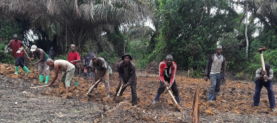 Amid ongoing conflict, tools and seeds offer a glimmer of hope in DR Congo