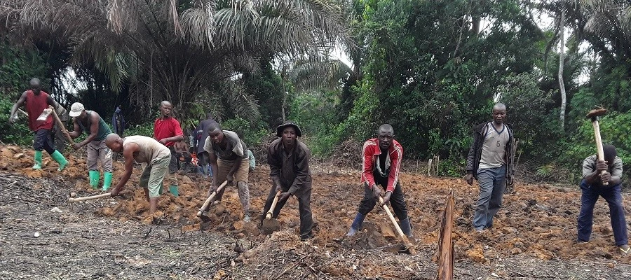Amid ongoing conflict, tools and seeds offer a glimmer of hope in DR Congo